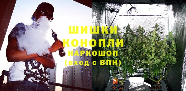 винт Горняк