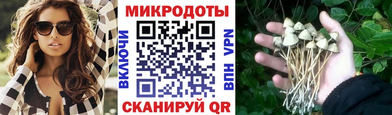 Купить закладки  Венёв  Галлюциногенные грибы Psilocybine cubensis 